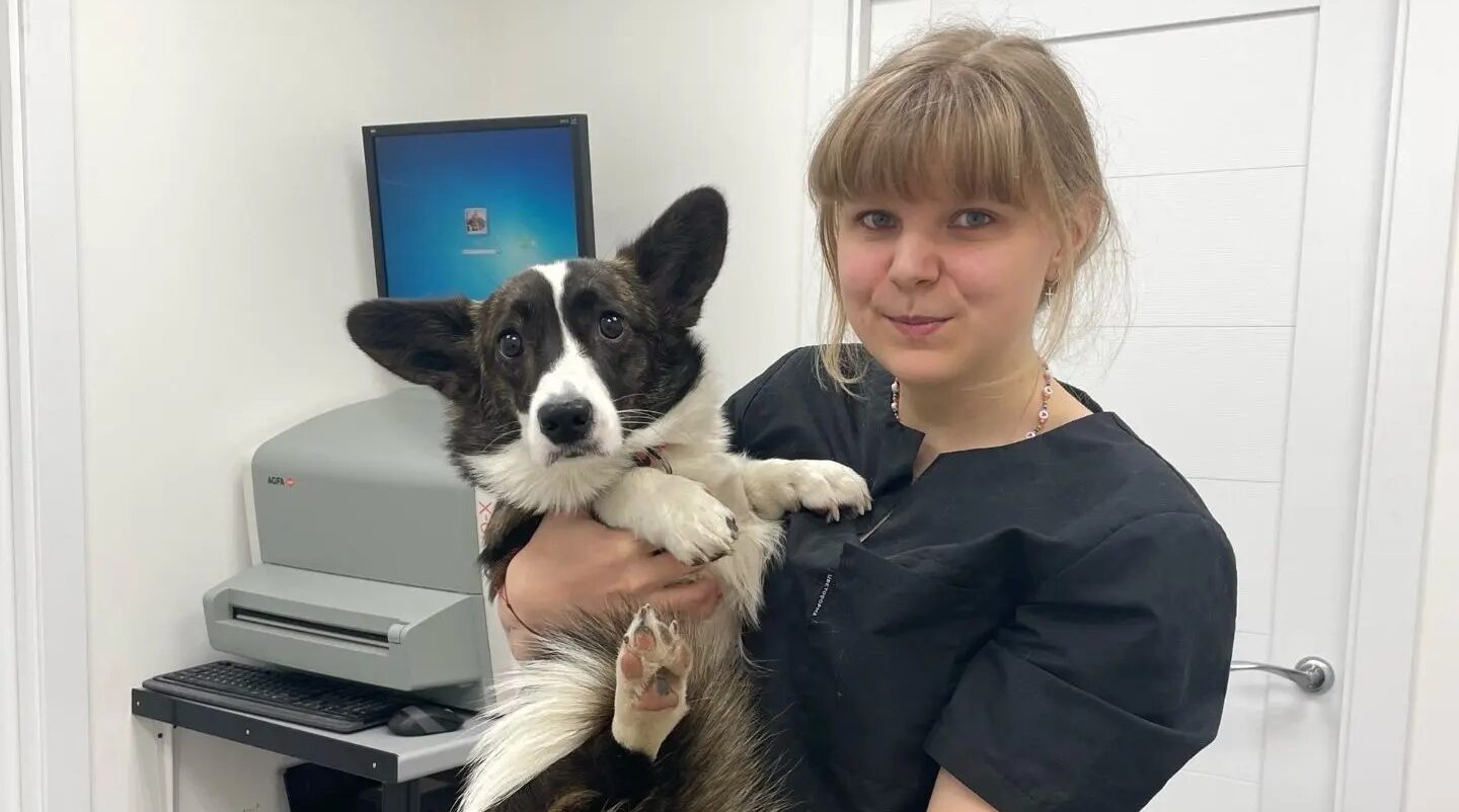 Ветеринарная клиника в Петрозаводске приобрела дополнительное оборудование