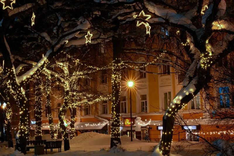 Турналог пополнил бюджет Петрозаводска на десятки млн рублей