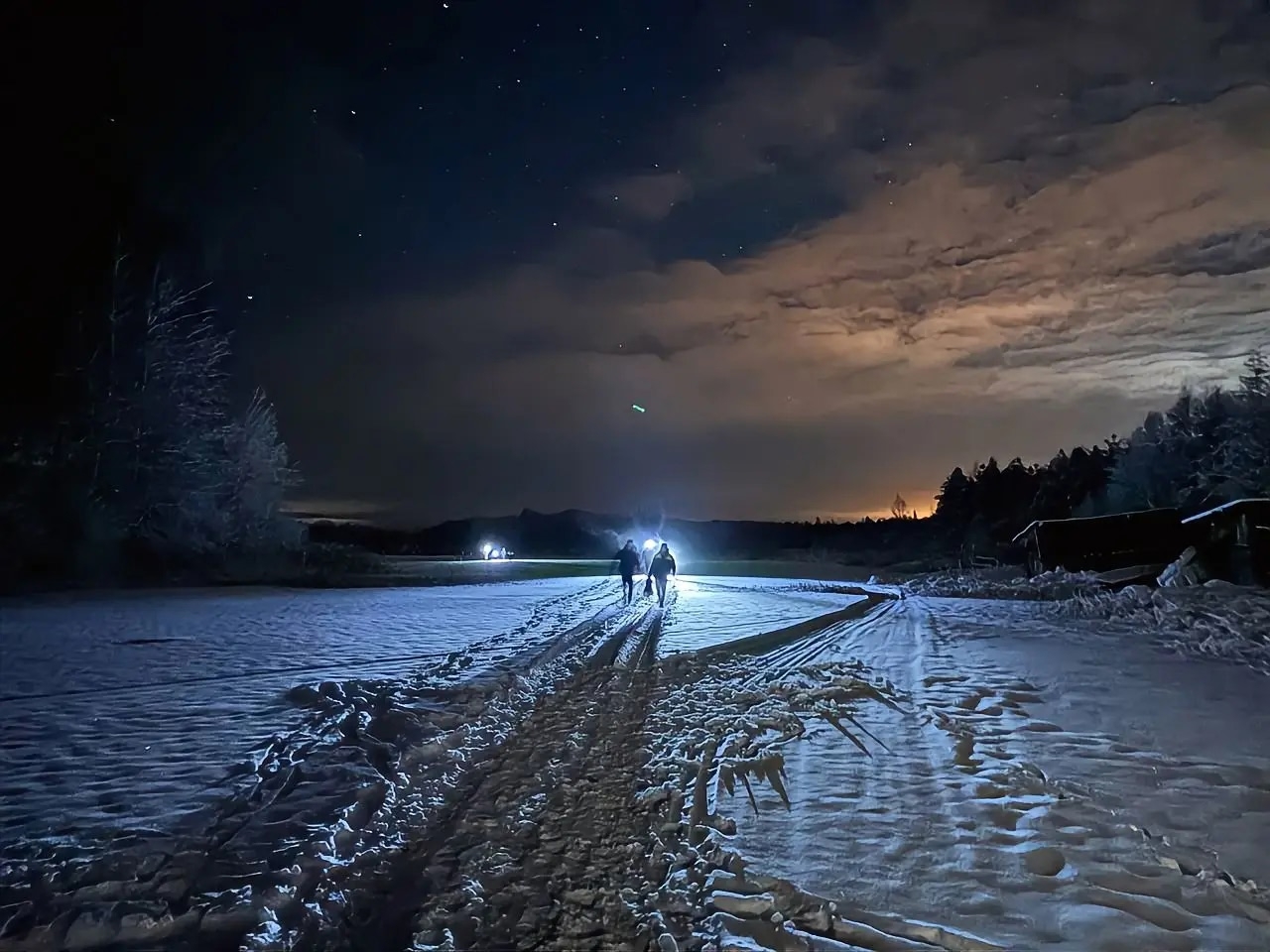 Волонтеры «ЛизаАлерт» спасли мужчину, который замерзал в лесу
