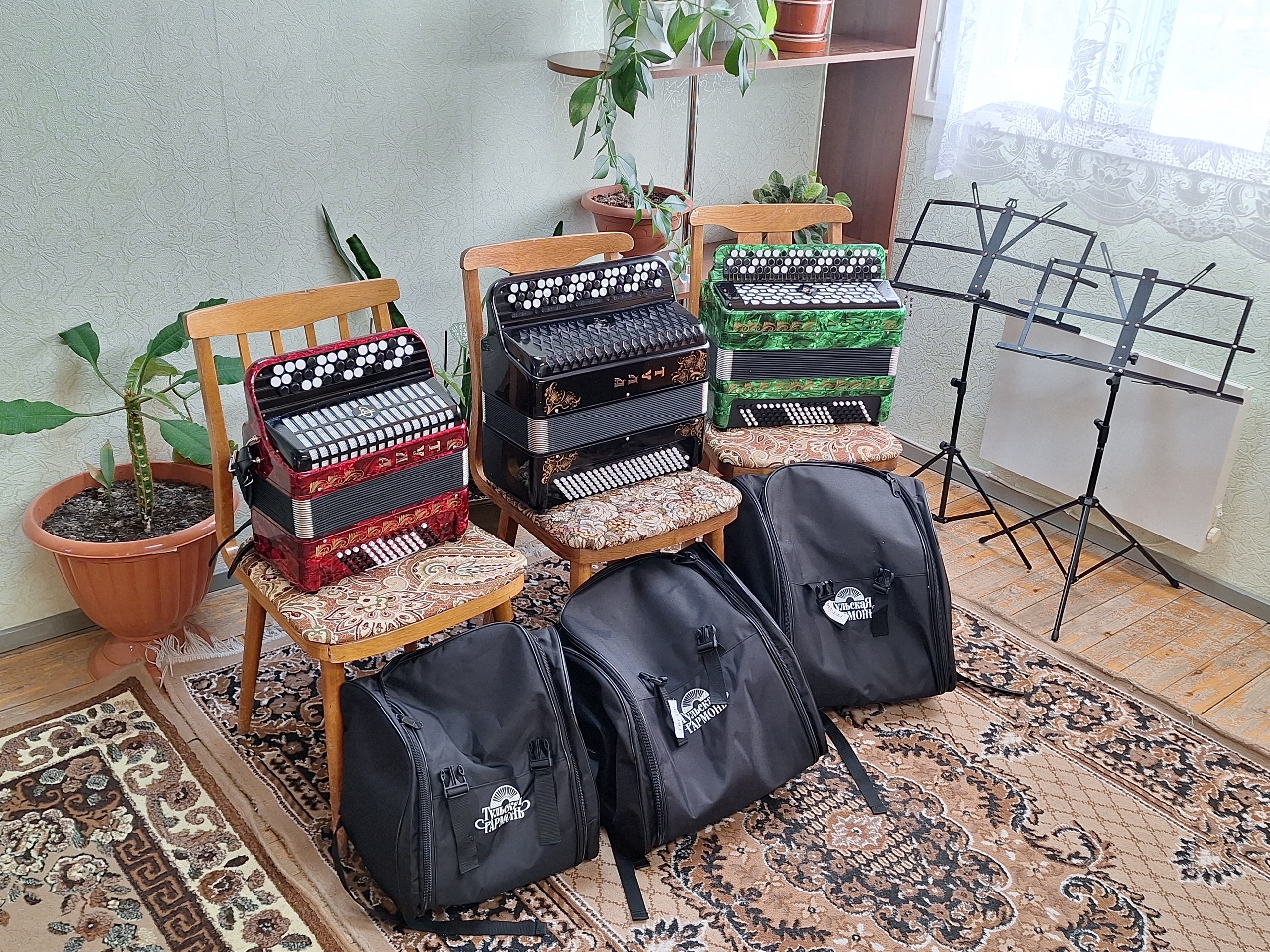 Калевальская музыкальная школа обновила инструменты по нацпроекту