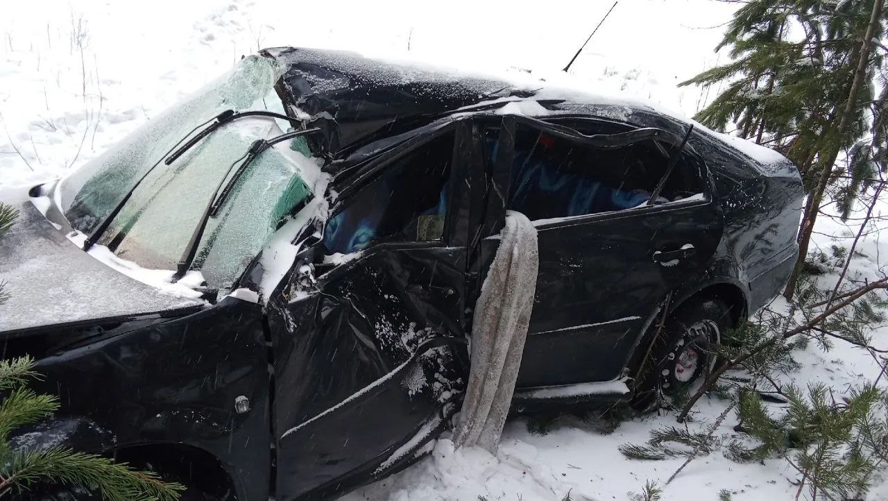 Женщина за рулем иномарки пострадала на заснеженной трассе в Карелии