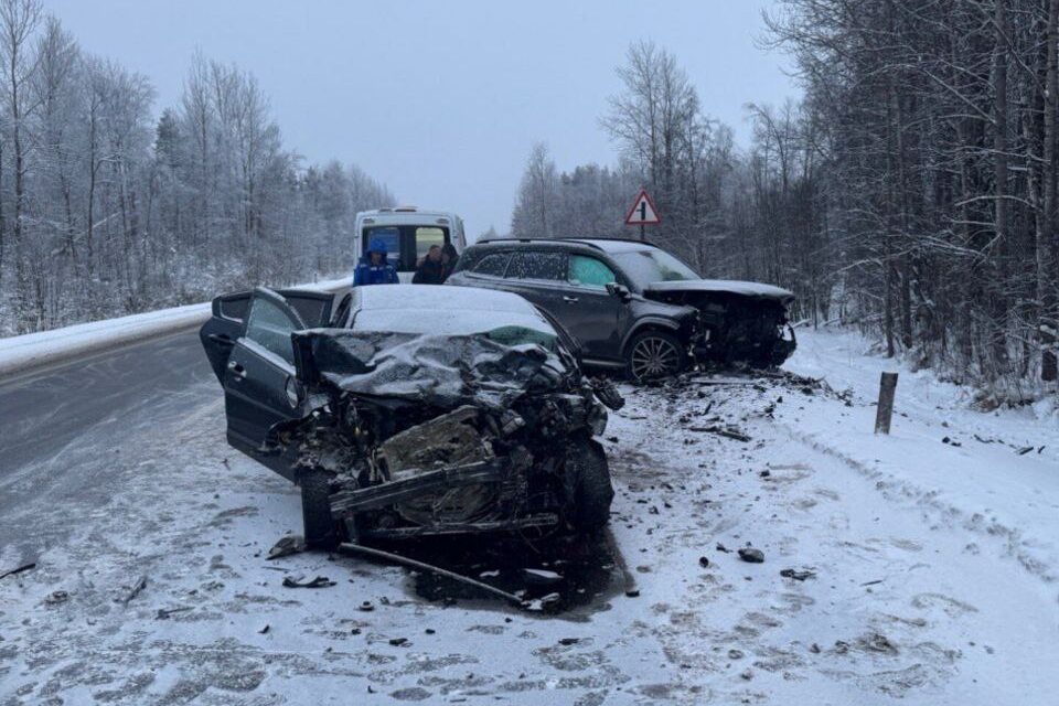 Прокуратура начала проверку после смертельной аварии на трассе «Кола», в которой погибла семья из Карелии
