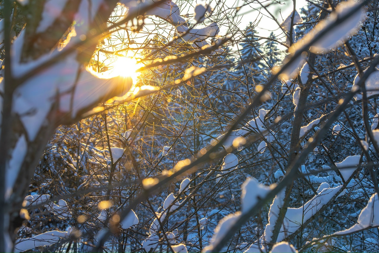Мороз крепчает: синоптики Карелии рассказали о погоде на вторник