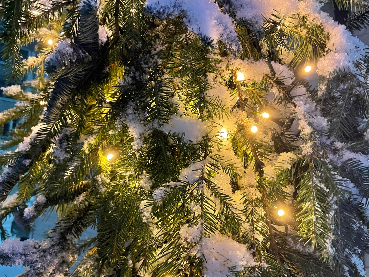 Жители Ленобласти пожаловались на дорогое электричество и привели в пример Карелию