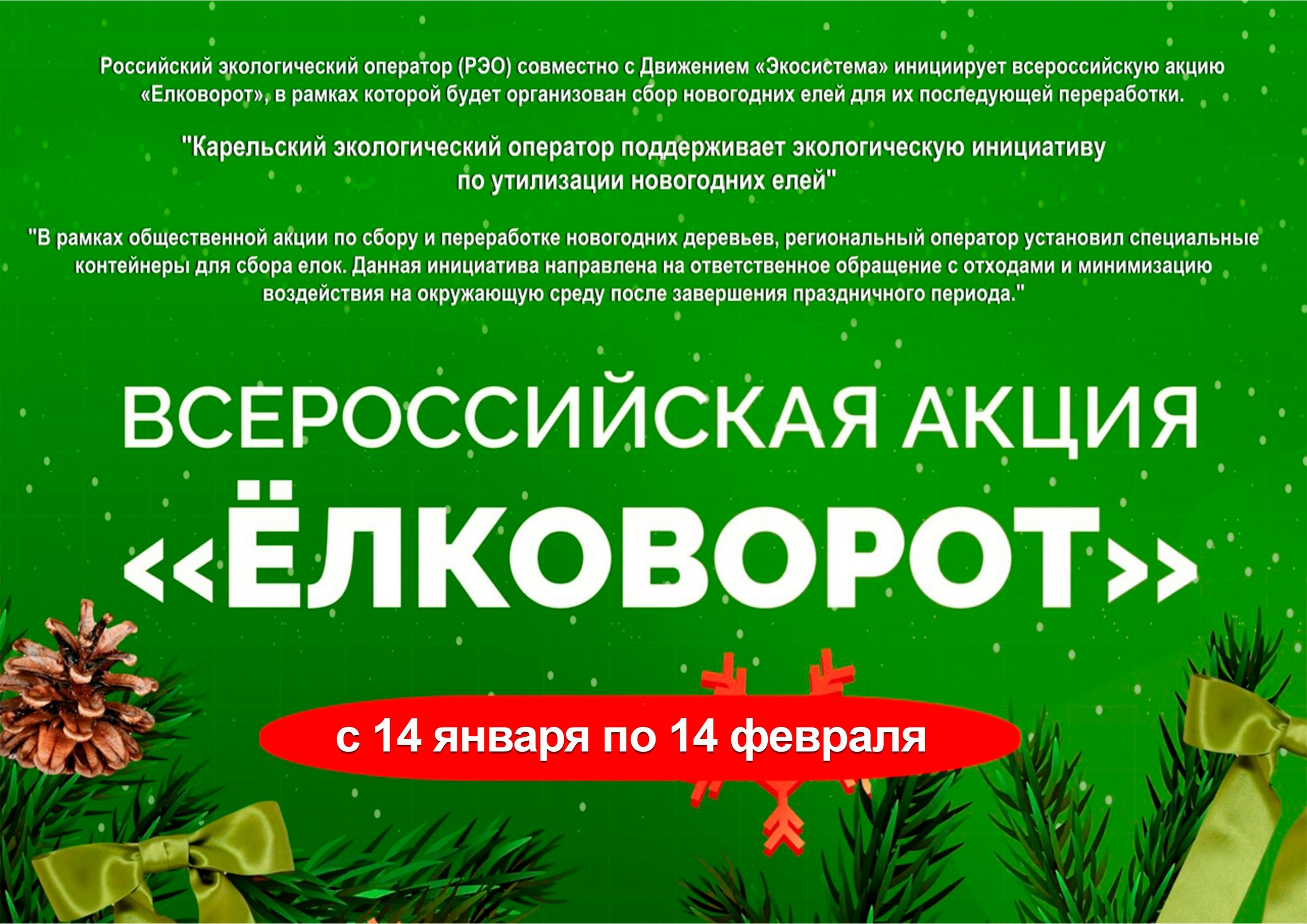 На юге Карелии баню будут топить ёлками