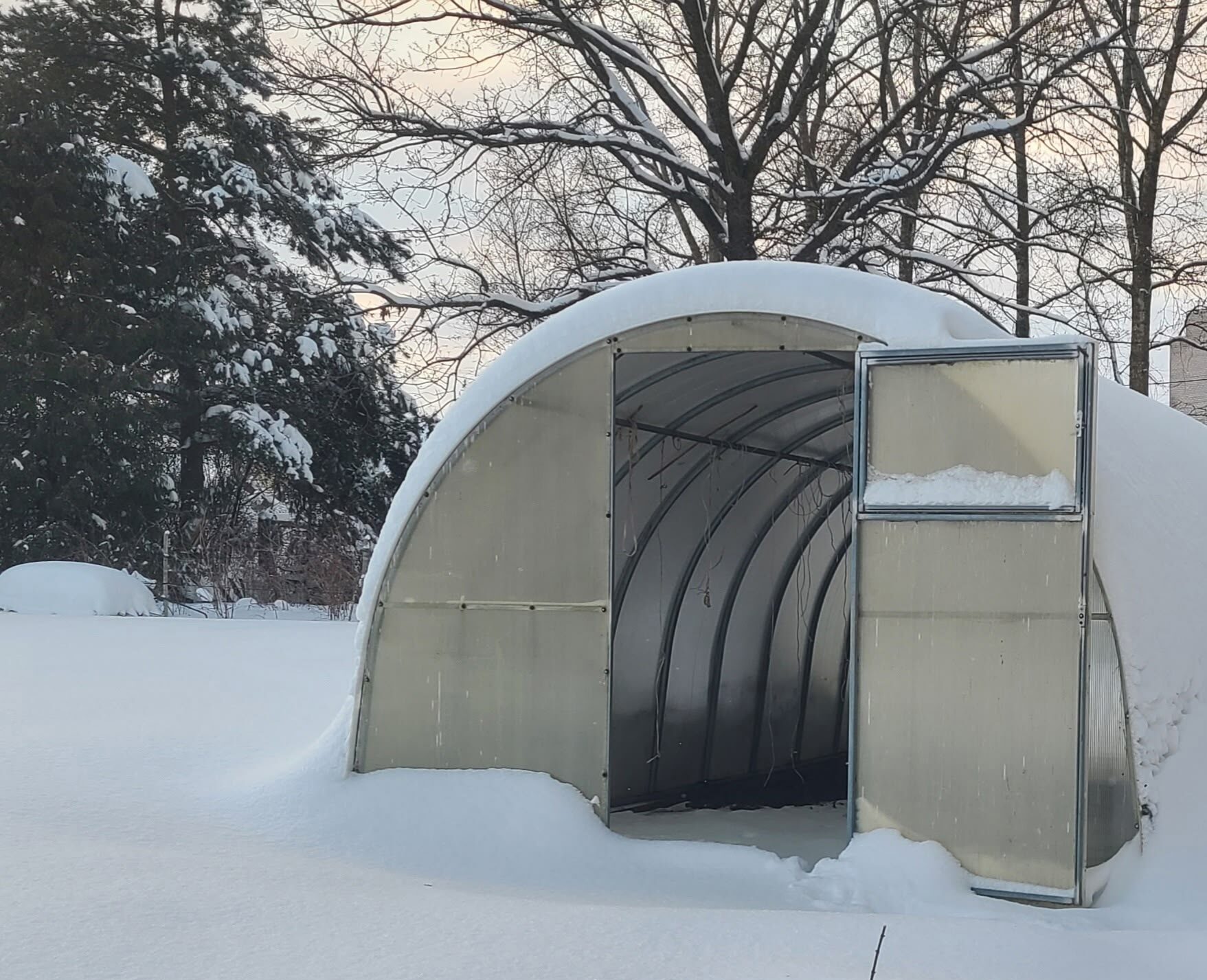 Садоводам Карелии рассказали, зачем закидывать снег в теплицу