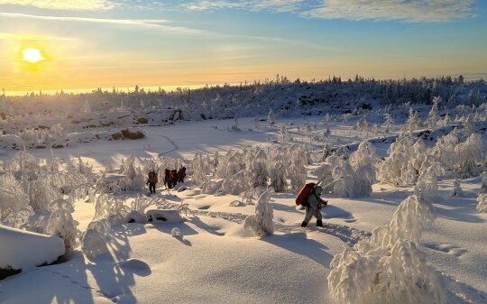 Синоптики Карелии рассказали, будет ли морозной Крещенская ночь и о погоде на конец января