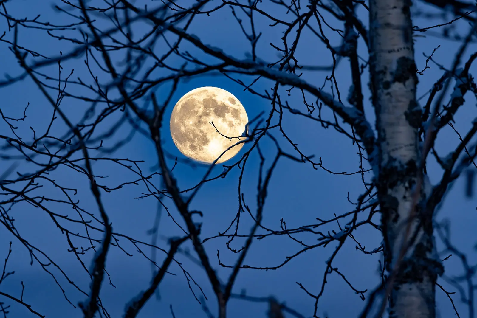 В поселке Кудама и деревне Лахта отключили электричество