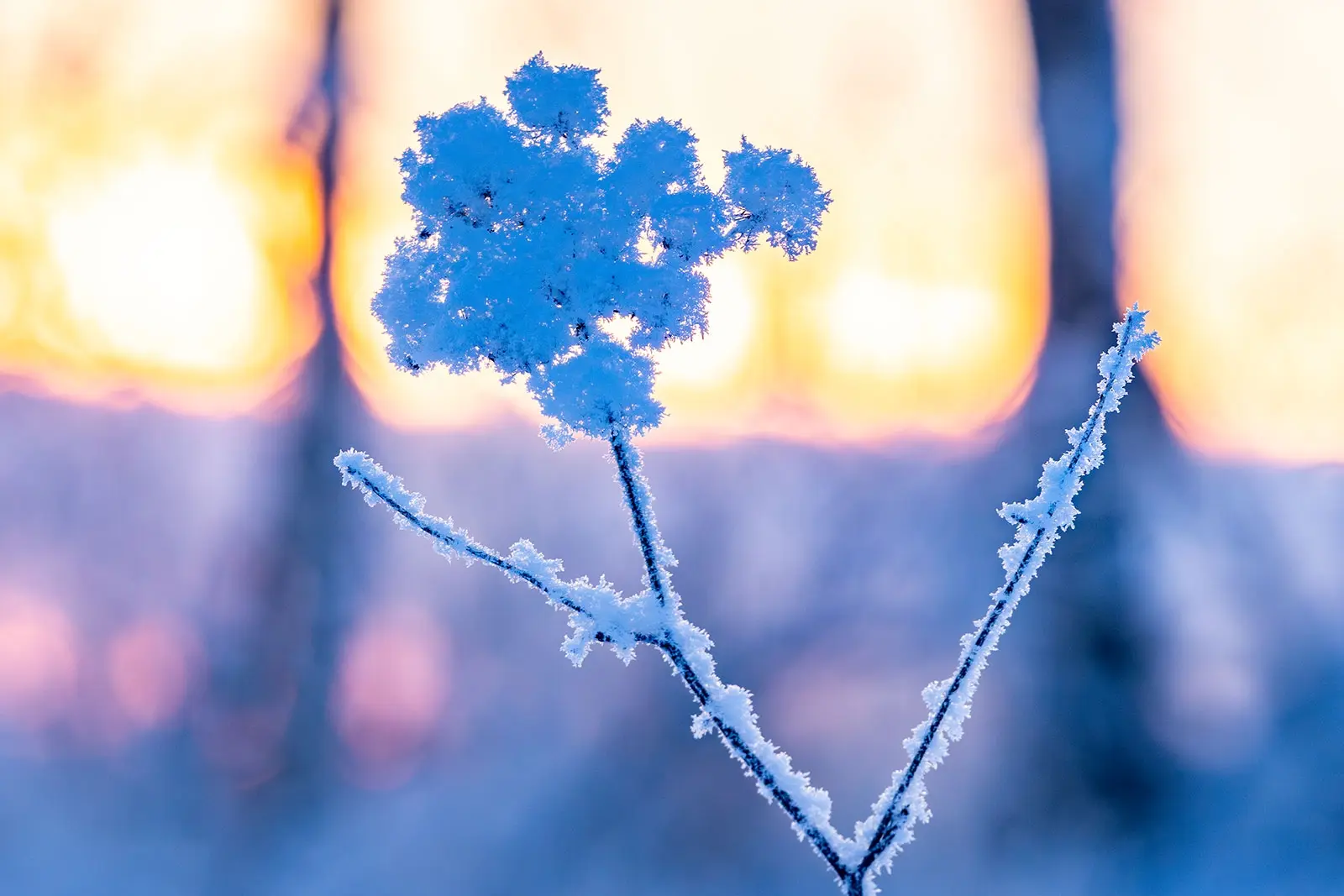 На Крайнем Севере женщин с ребенком могут досрочно отправить на пенсию