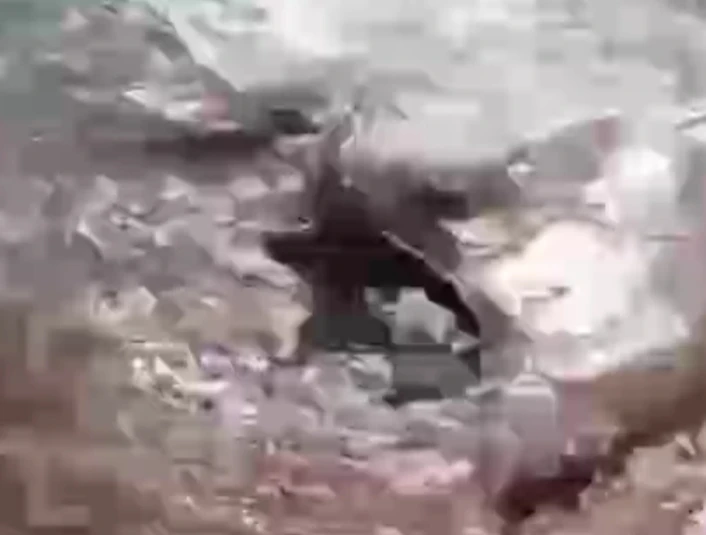 Пляжи пяти отелей в Хургаде закрыли из-за акулы