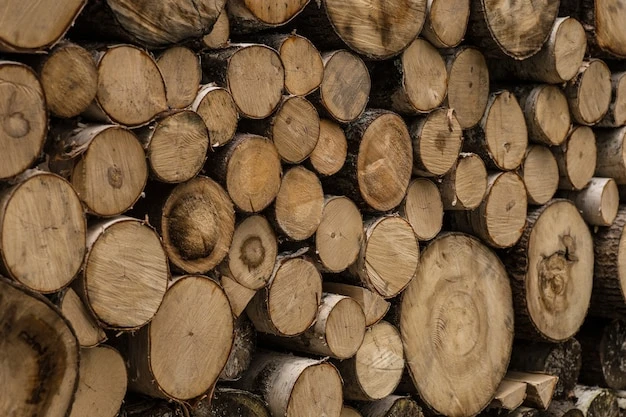 Пора валить: производители древесины просят не ужесточать требования к освоению лесов