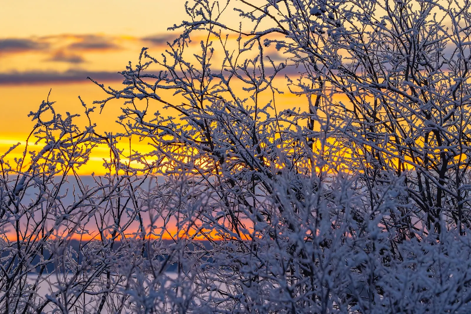 Какие сюрпризы готовит погода на последнюю декаду января, рассказали синоптики Карелии