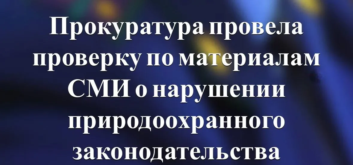 Виновен: с собственником прорванной канализационной трубы в Петрозаводске разбиралась прокуратура