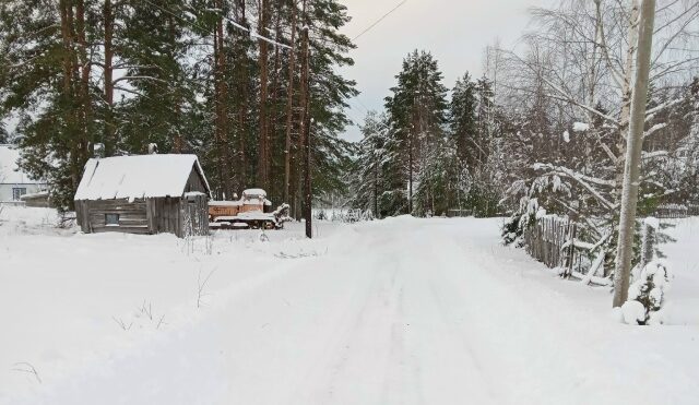 Петрозаводск, завидуй: в поселке Карелии все идеально убрали и подмели за «Фрэнсисом»