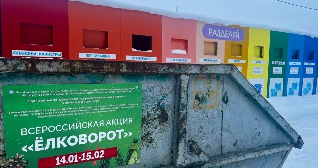 Сегодня начали принимать в утилизацию новогодние елки