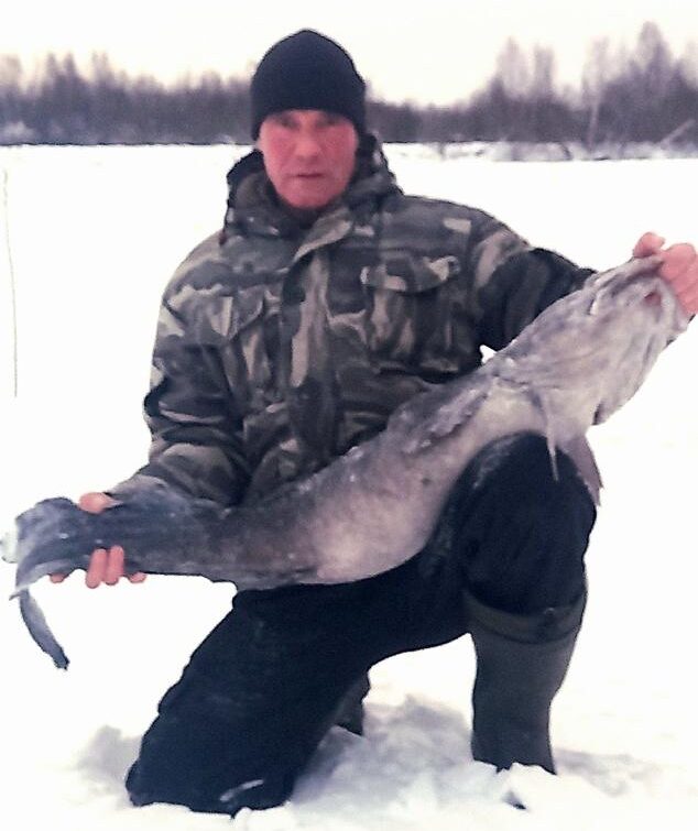 Редкий трофей: гигантского налима выловили пудожские рыбаки