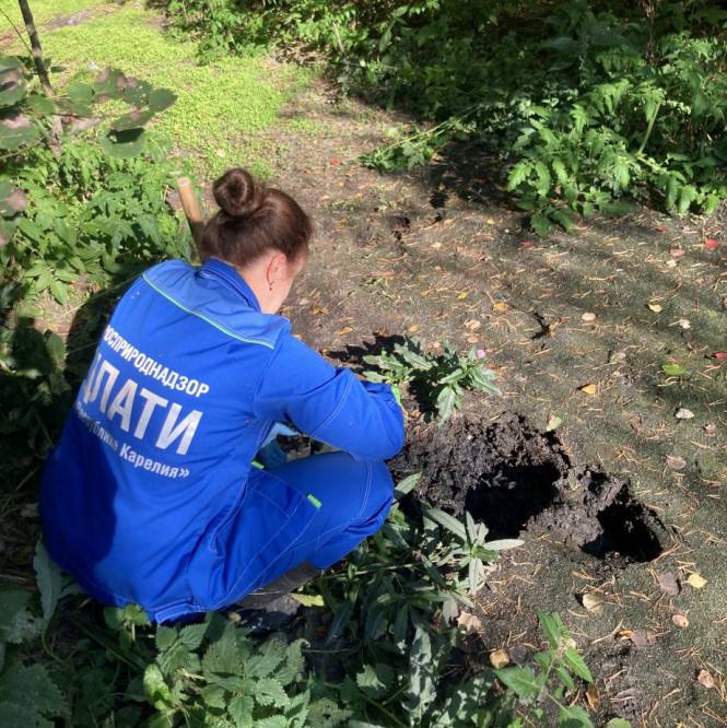 Сточные воды нанесли экологический ущерб в Карелии на 15 млн рублей