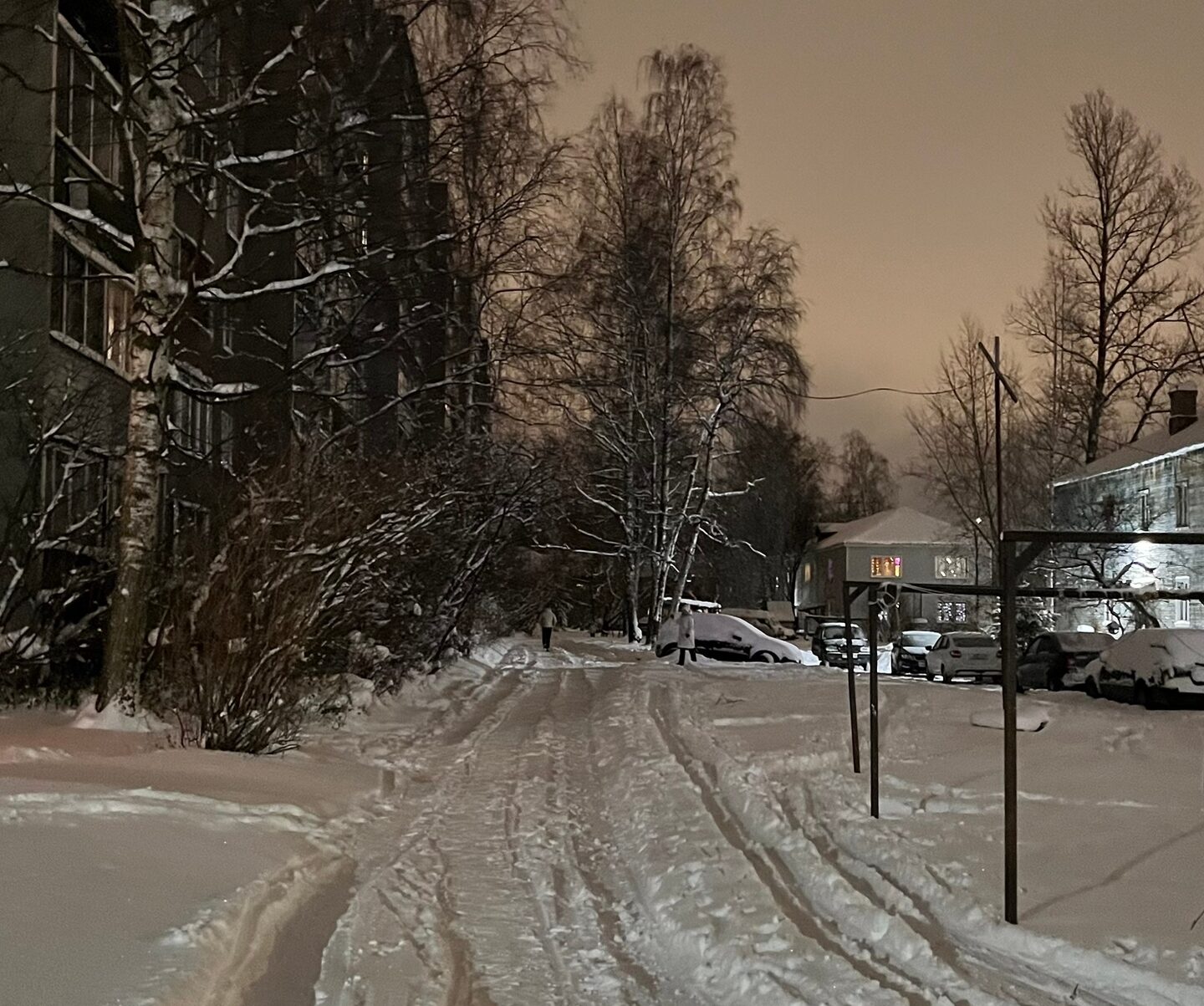 Жители расширенного центра в Петрозаводске сделали лыжню к поликлинике