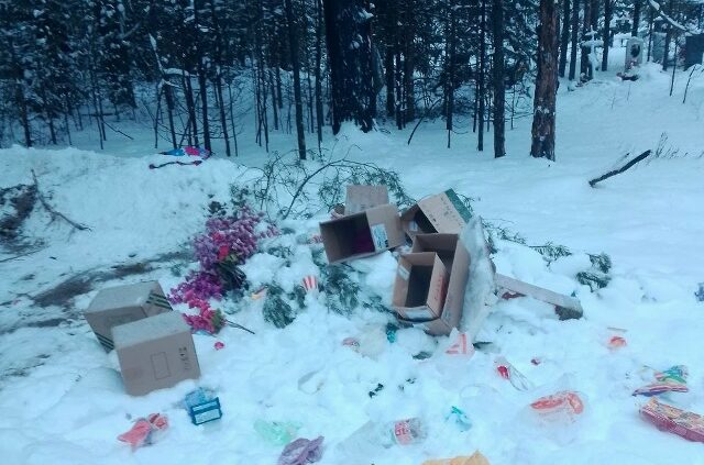 Одни убирают, другие гадят: власти Пудожского района возмутились недобросовестностью некоторых жителей