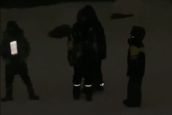 «Собаку мы не трогали»: в ответ на обвинения подростки Кеми признались, что только прыгали в сугроб