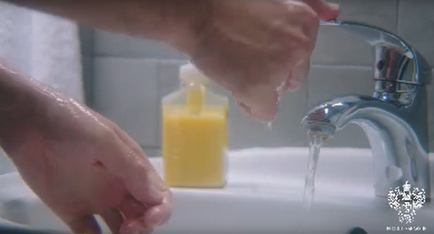 Роспотребнадзор Карелии рассказал, чем убить опасную заразу