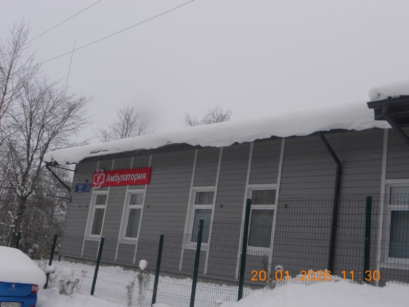 Мэрия проверила, как чистят снег вокруг учреждений здравоохранения в Петрозаводске