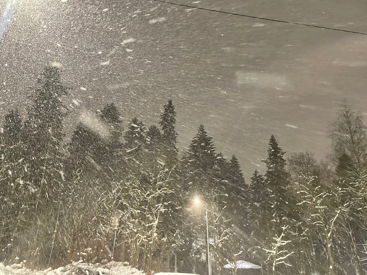 Метели и снегопады накроют Карелию