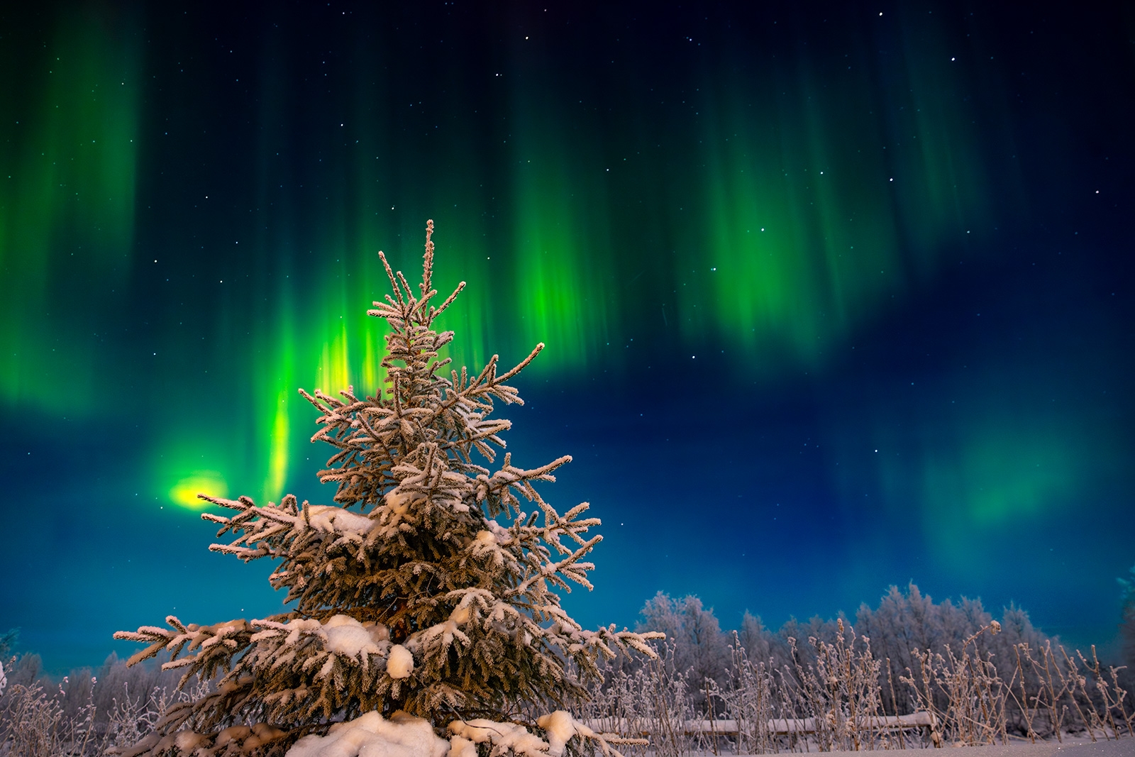 Северное сияние «играло на небесных струнах» в старинной карельской деревне