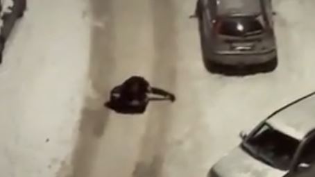 Горожане устроили драку у отдела полиции в Петрозаводске