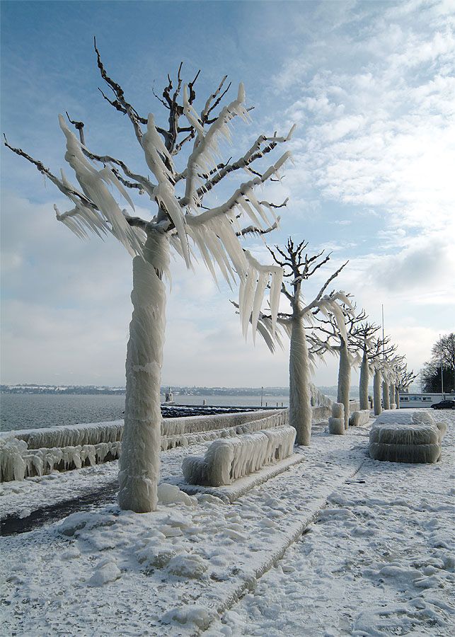 Опасная изморозь прочно сковала север Карелии - в субботу тоже будет угроза