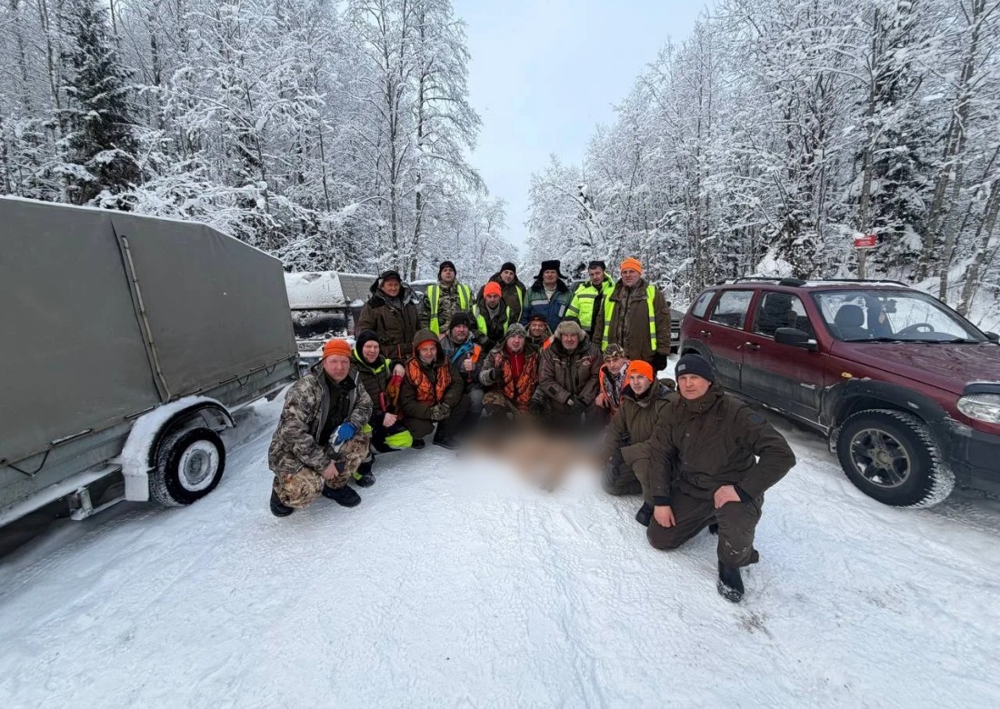 Охотники добыли второго волка, выходившего к деревне Виданы в Карелии