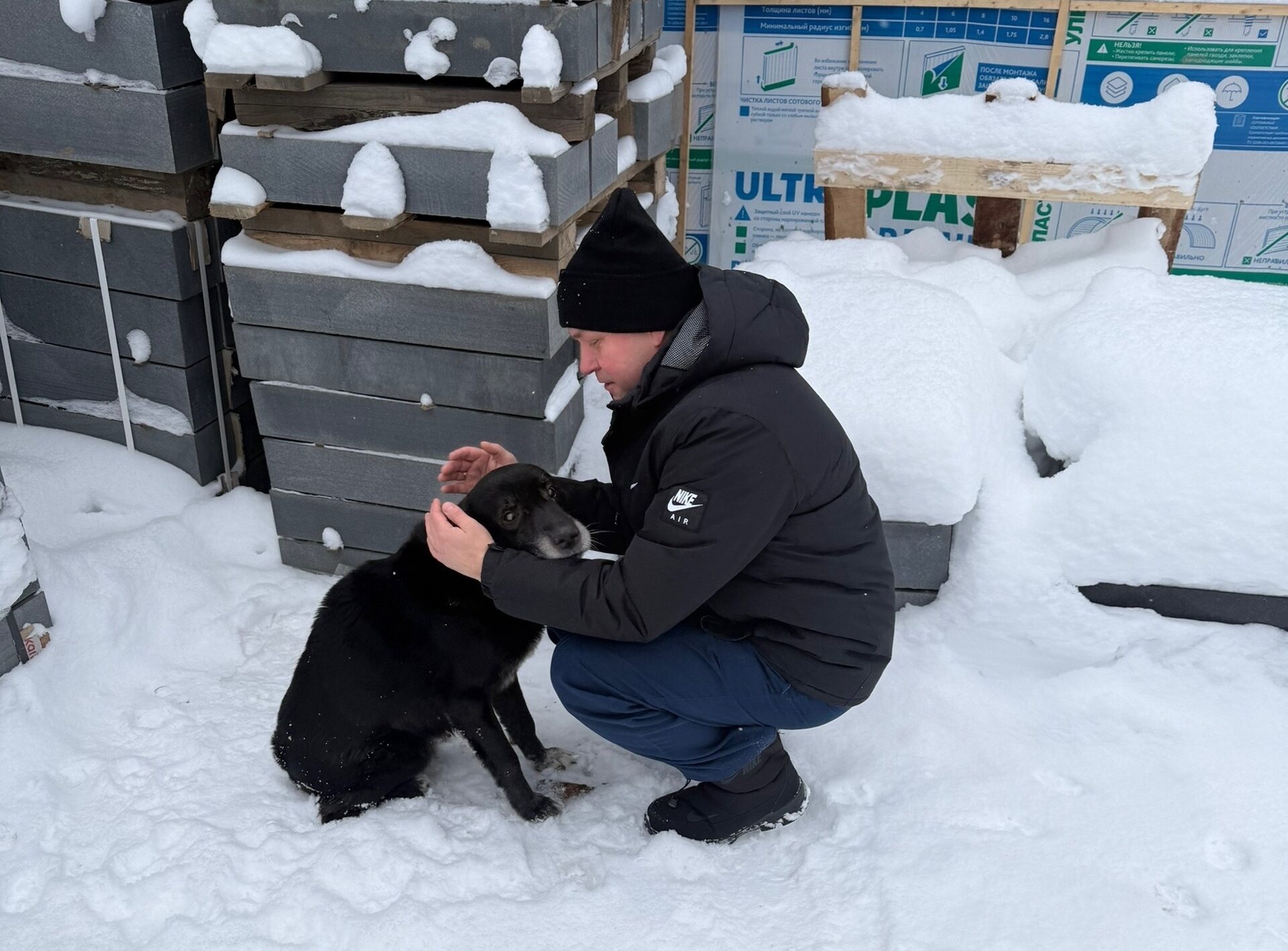 «Симба нашелся, едет домой»: пропавшую слабовидящую собаку разыскали в Петрозаводске