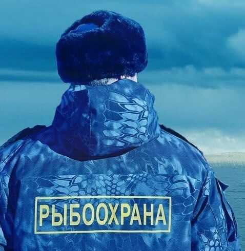 Рыбоохрана за 2025 год арестовала пять лодок и изъяла более 280 кг незаконно добытой рыбы