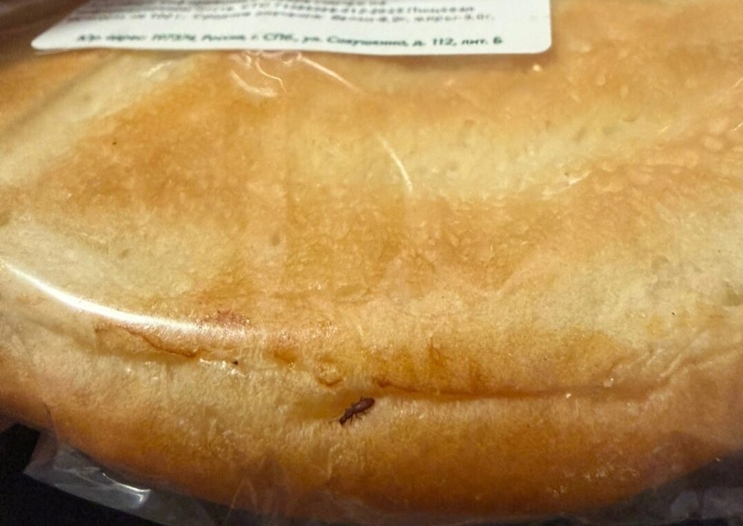 Жуков обнаружили в выпечке популярного гипермаркета в Петрозаводска