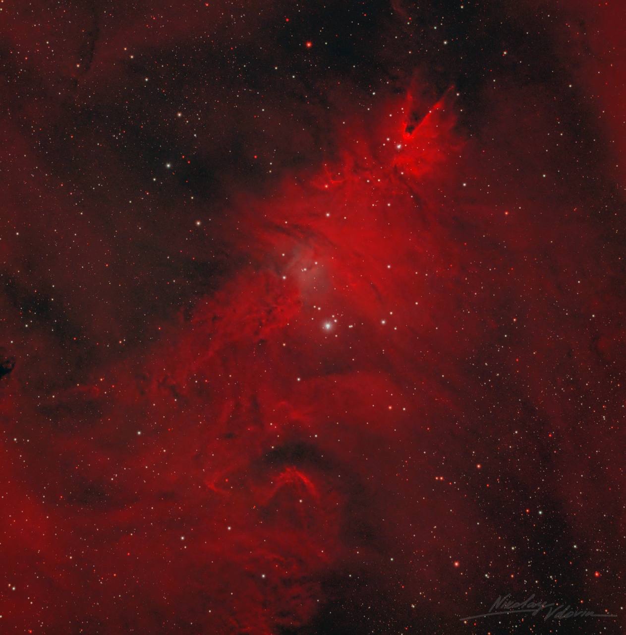 «Рождественская ёлка» появилась в космосе