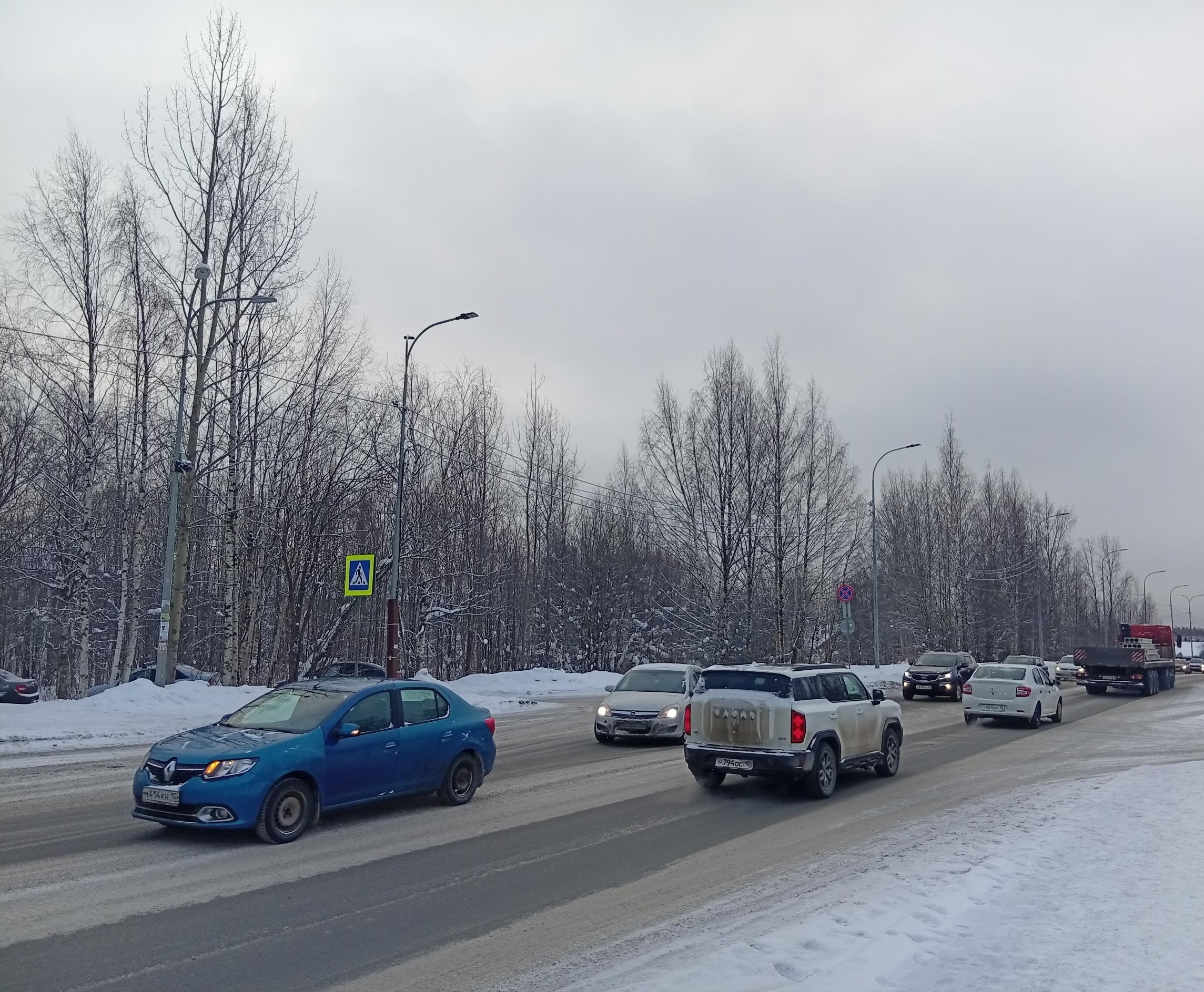Госавтоинспекция начала проверку после травмирования девушки во время ДТП в Петрозаводске