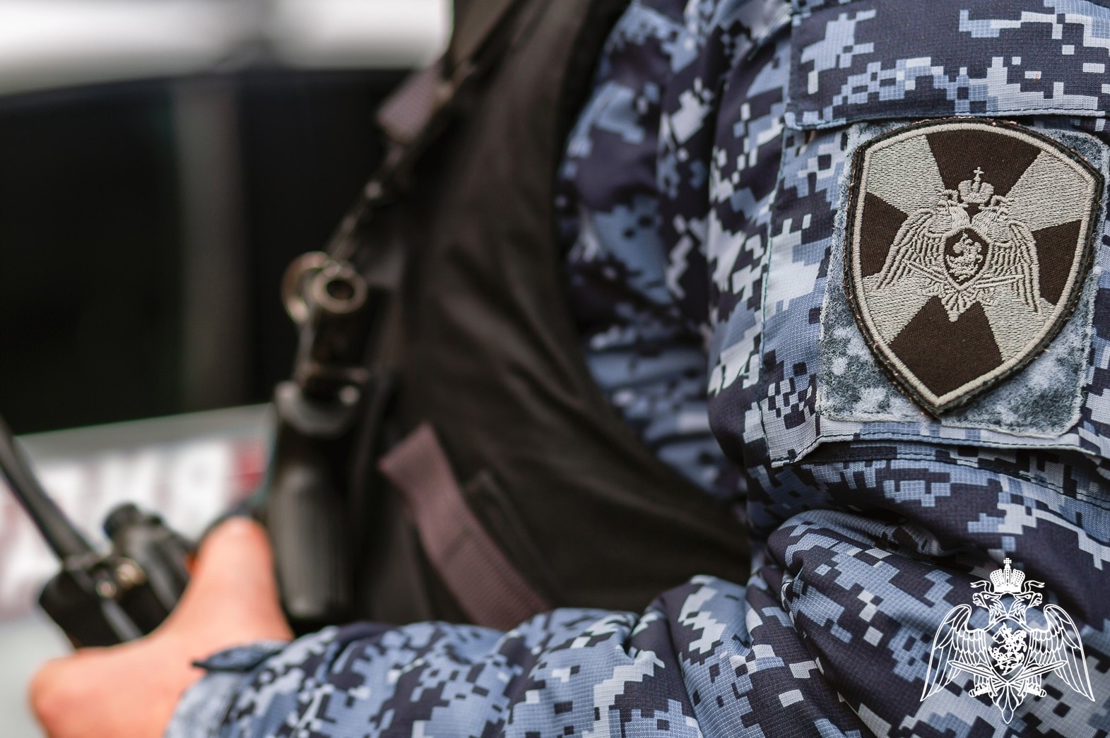 В Петрозаводске Росгвардия задержала мужчину с поддельным паспортом