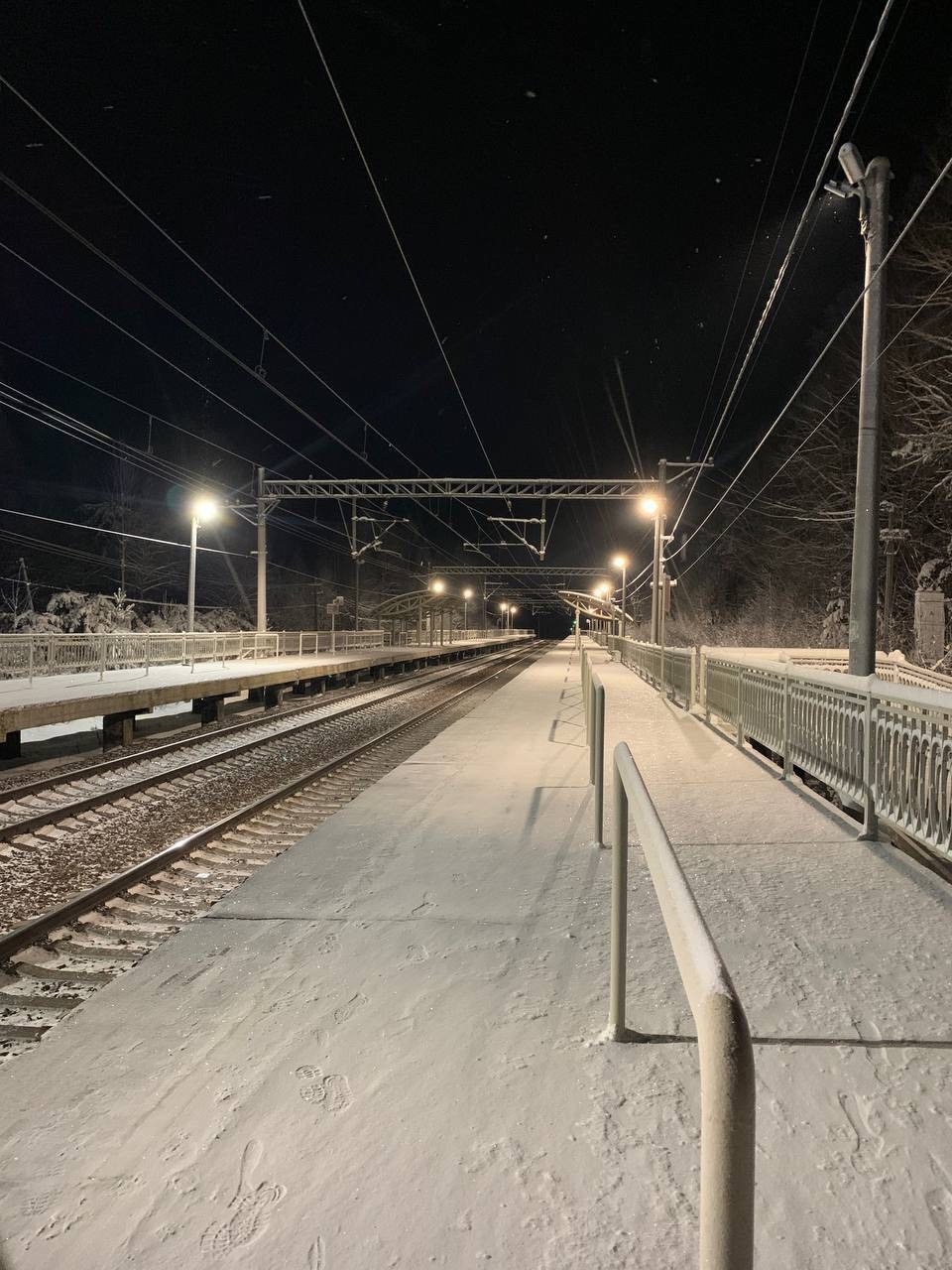 Подросток-зацепер погиб, сорвавшись с «Ласточки» рядом с Карелией