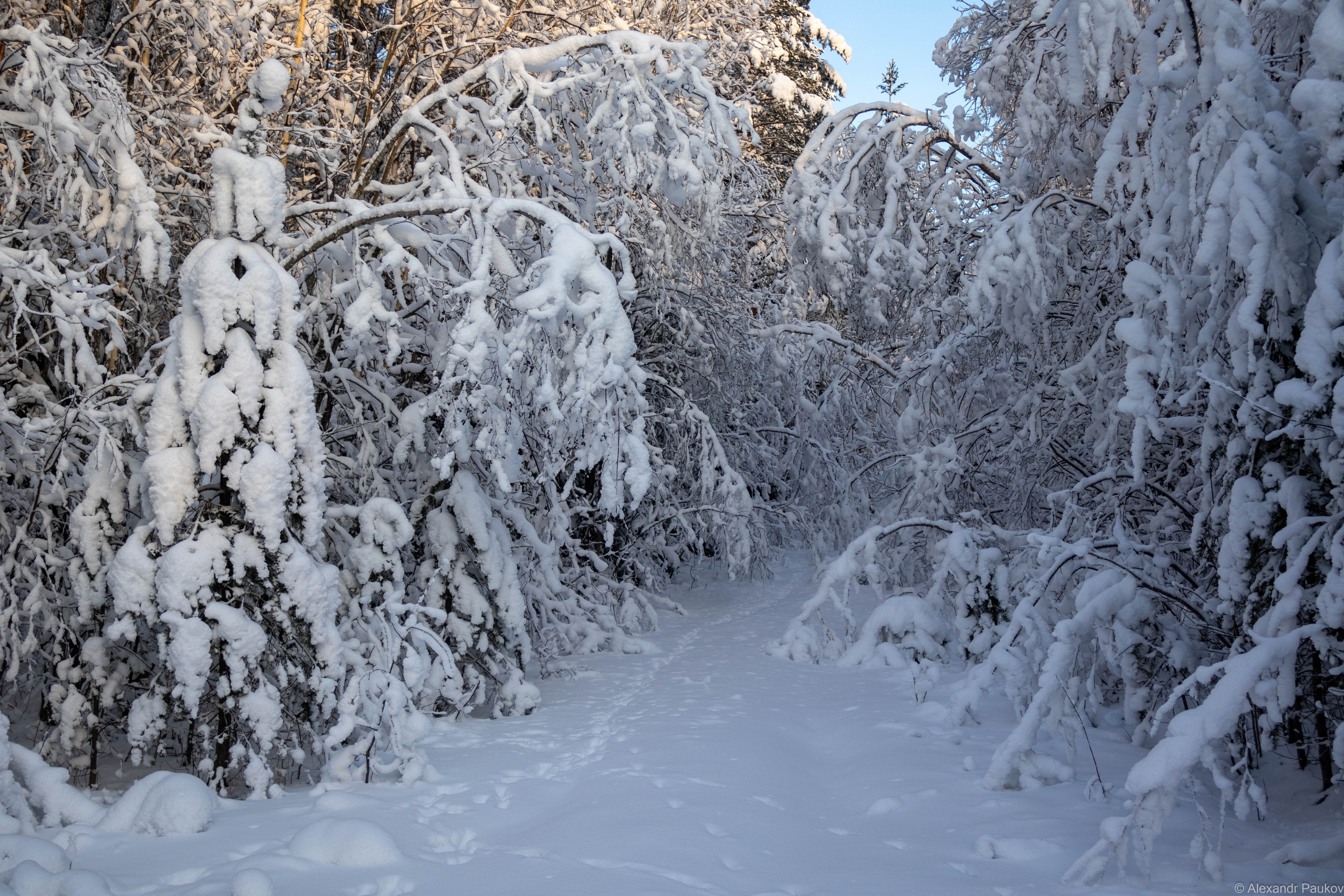 Стало известно о погоде в Карелии на Крещение