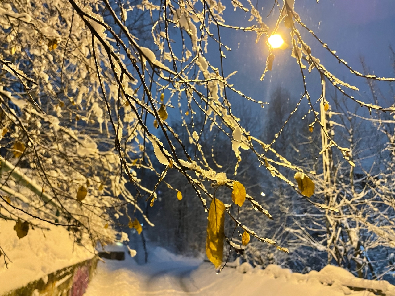 Мокрый снег и до +1°С ожидается в погодном сценарии Карелии накануне Крещения