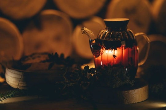 За миллион рублей пять человек отдохнули в загородном доме в Карелии