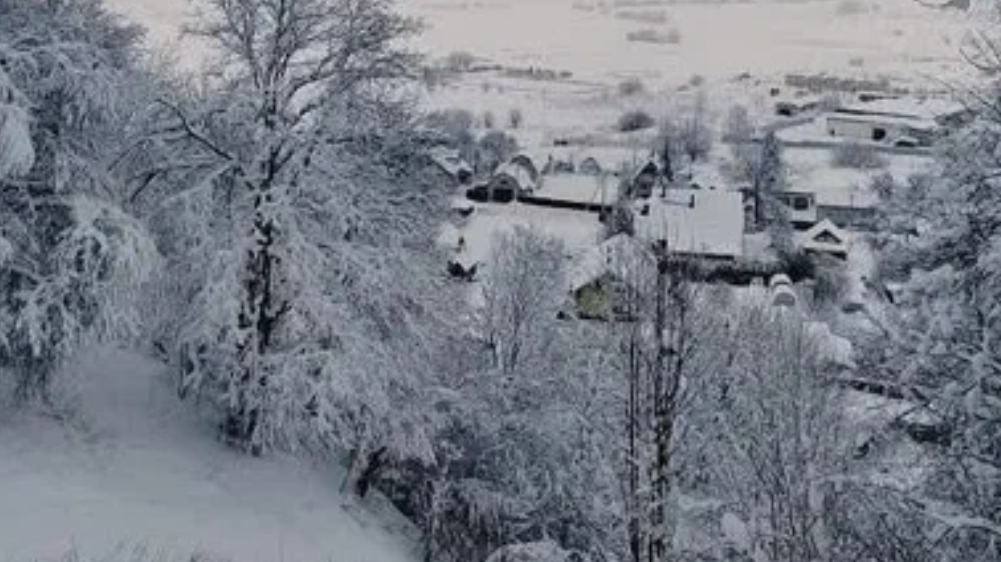 Энергетиков из Карелии отправили устранять последствия стихии под Новгород