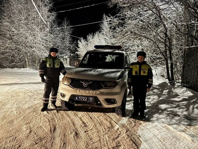Полицейские вернули жительнице  Калевалы убежавшую от грохота салютов собаку