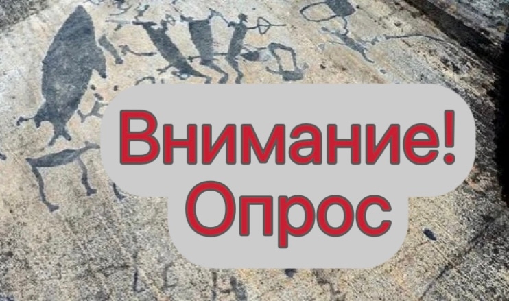 Жителей Беломорского округа пригласили проголосовать, где поставить памятник Линевскому