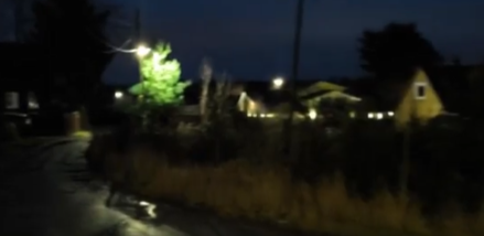 Жители карельской деревни боятся выходить на улицу из-за тьмы и волков