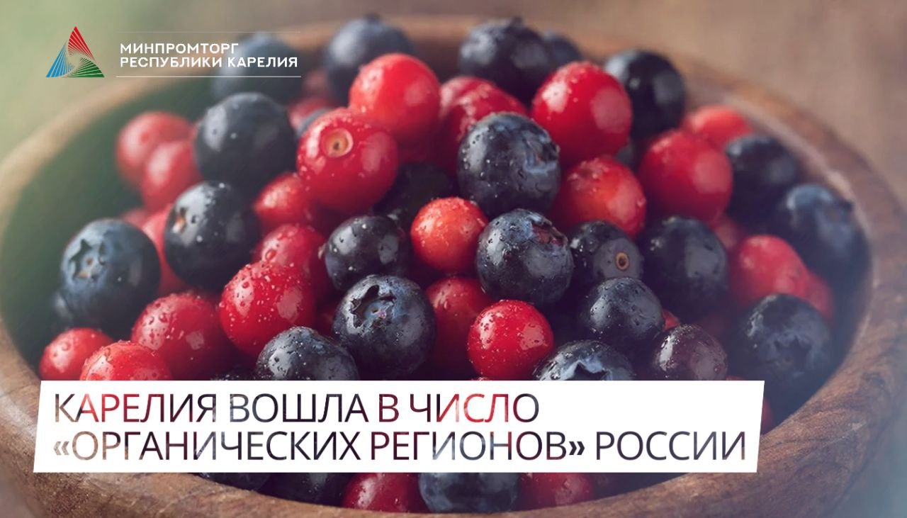 Карелия присоединилась к движению за честную маркировку продуктов