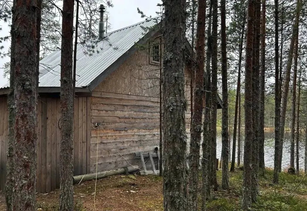 Самовольное строение демонтировали в Ухтинском лесничестве