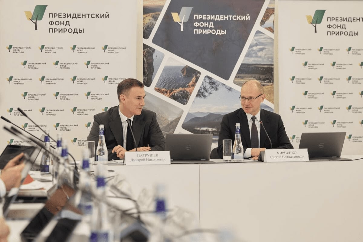 Пять проектов карельских ученых получили грантовую поддержку Президентского фонда природы