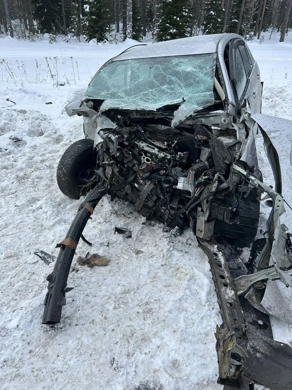 Спасатели опубликовали кадры с места смертельной аварии в Олонецком районе