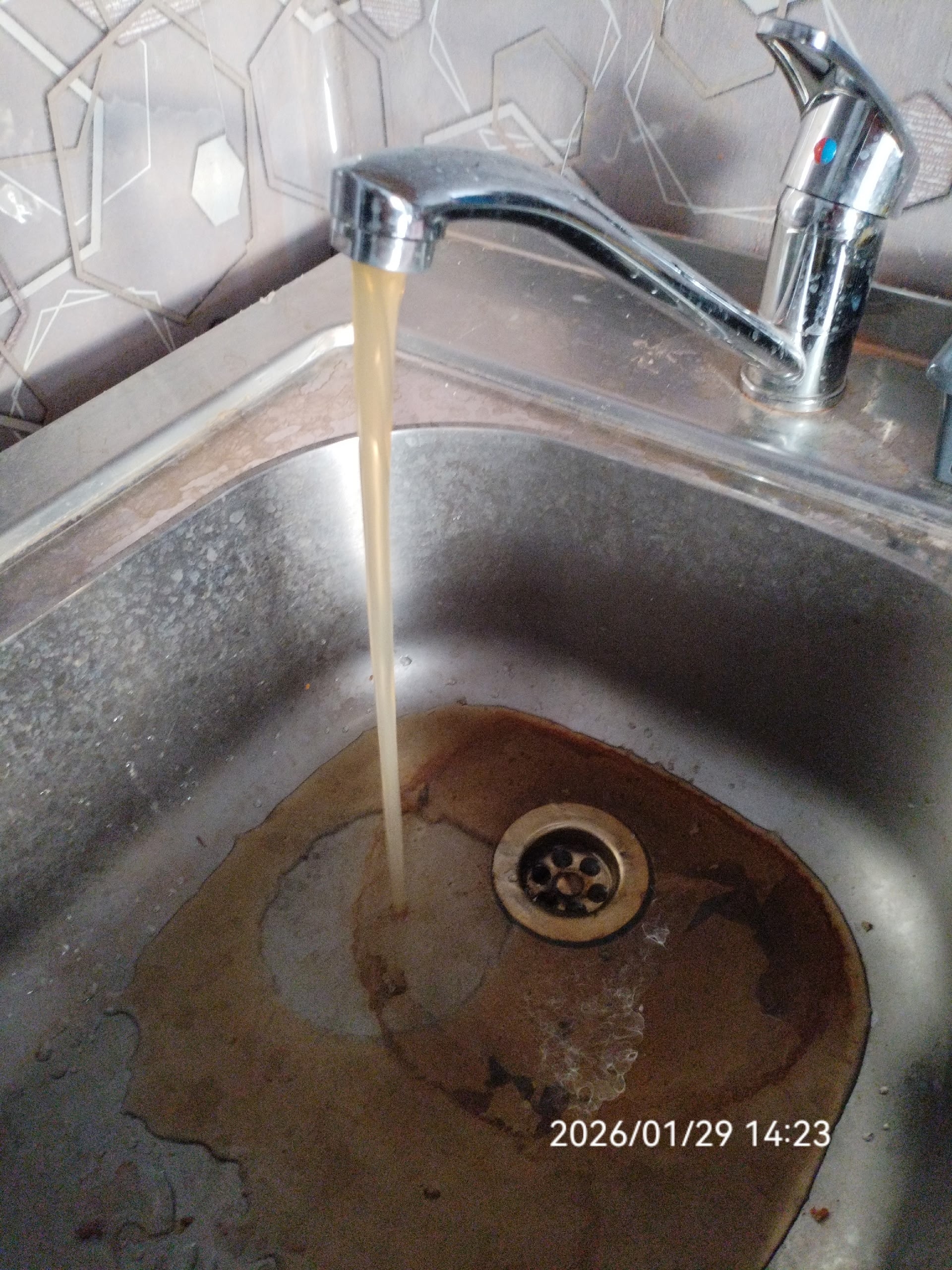 Качество воды в Пудоже назвали «ржавой жижей»